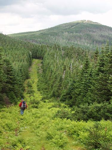 Chuck heads up the boundary swath between Quebec and Maine on the way to distant Boundary Peak