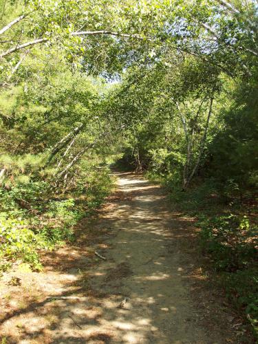 entrance path to Boxford State Forest in northeastern Massachusetts