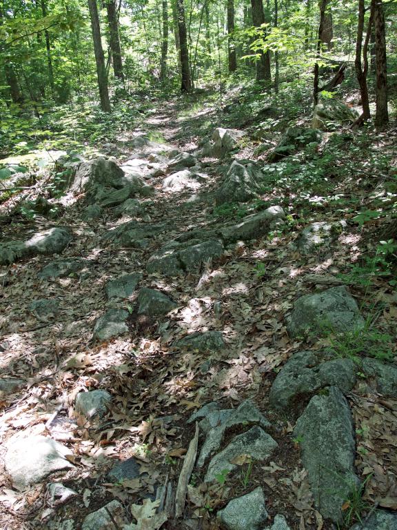 rocky trail at Boxford State Forest in northeastern Massachusetts