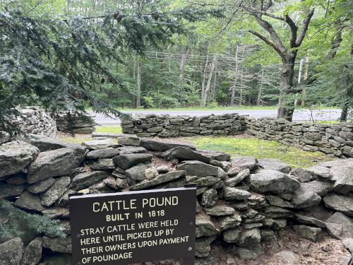 cattle pound in July at Bradbury Mountain near Freeport in southwest Maine