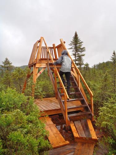 observation platform at Bradford Bog in New Hampshire