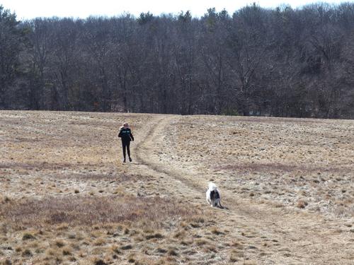 Mia atop Moon Hill at Bradley Palmer State Park in northeastern Massachusetts