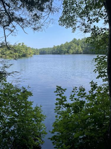 Pearce Lake in August at Breakheart Reservation in northeast Massachusetts