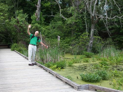 Fred pretending to fall off the All-persons Trail at Broadmoor Wildlife Sanctuary in eastern MA