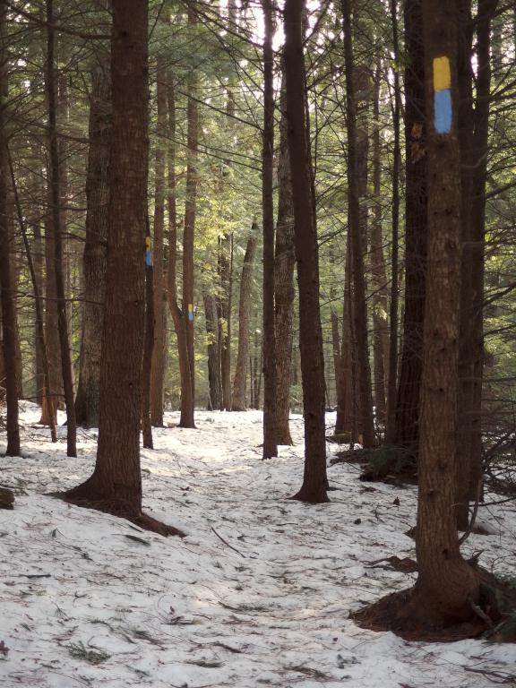 trail in January at Broken Ground near Concord in southern New Hampshire