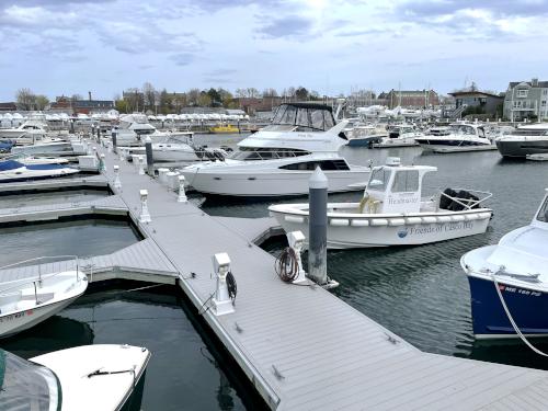 Spring Point Marina in May near Bug Light Park near Portland in southern Maine