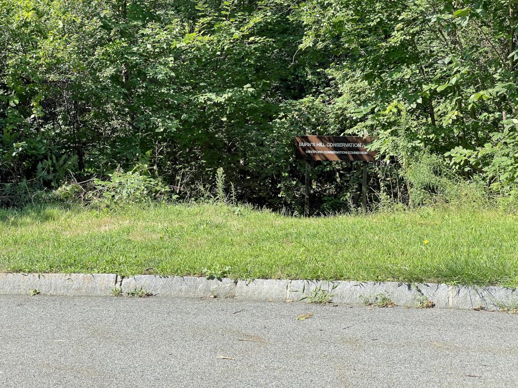 hike start in August to Burns Hill in northeast MA