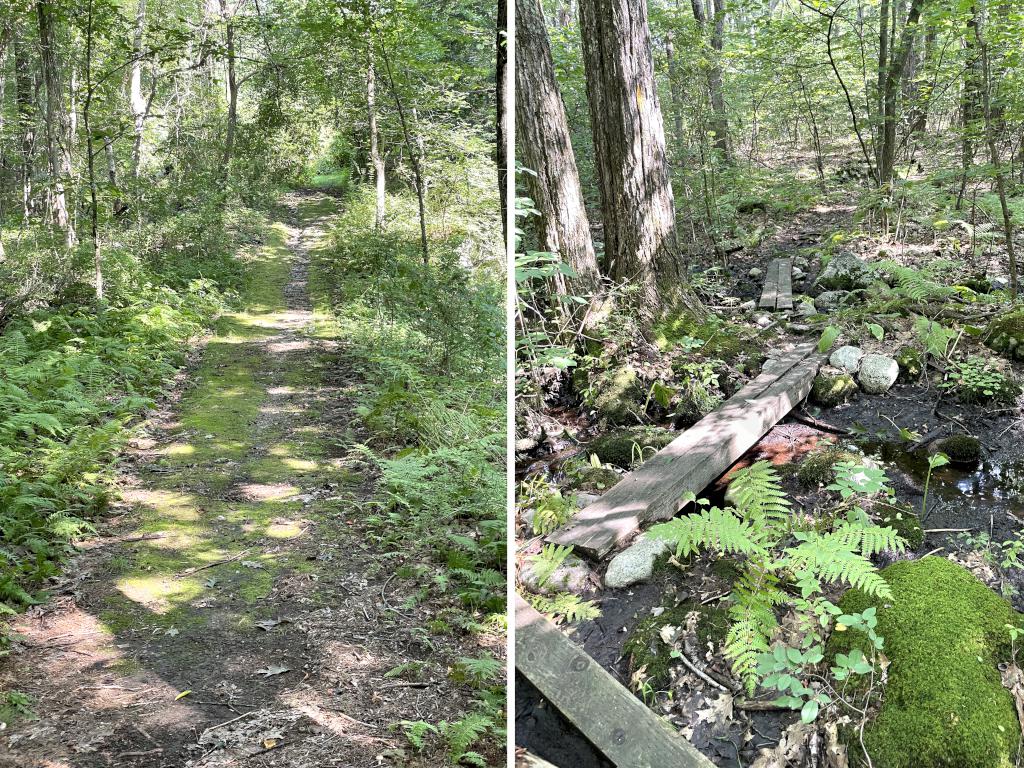 trail in August to Burns Hill in northeast MA