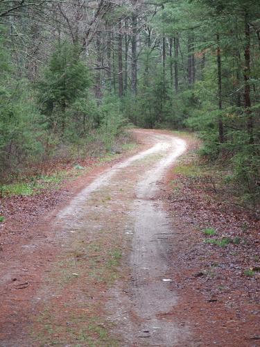 trail at Burrage Pond Wildlife Management Area in eastern Massachusetts