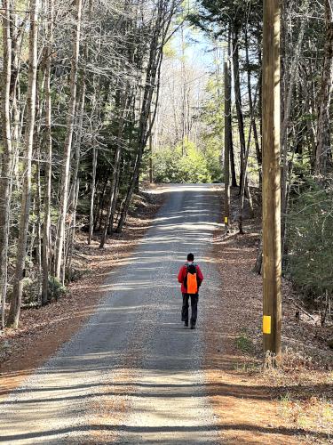 Caesars Road in November at Caesar's Brook Reservation in southern NH