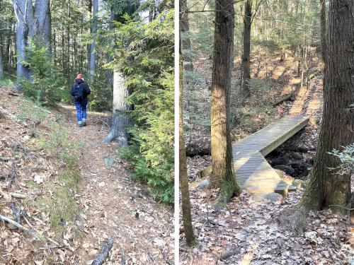 trails in November at Caesar's Brook Reservation in southern NH