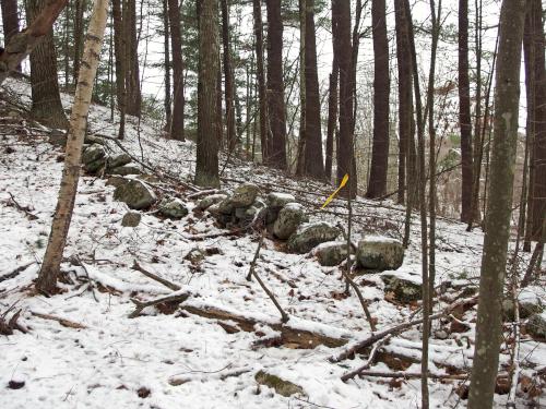 woods in December at Campbell Farm near Windham in southern New Hampshire