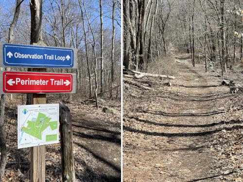 trails in March at Caratunk Wildlife Refuge in eastern Massachusetts