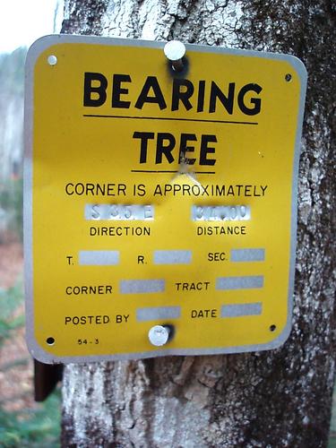 Bearing Tree sign on the Stony Brook Trail to Carter Mountain in New Hampshire