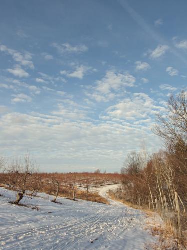 trail in January at Carter Hill Orchard near Concord in southern New Hampshire