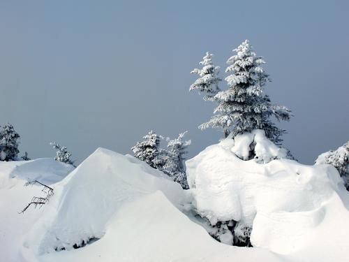 snow on Carter Dome in New Hampshire