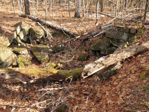 old cellar hole at Carter Forest near Dublin in southern NH