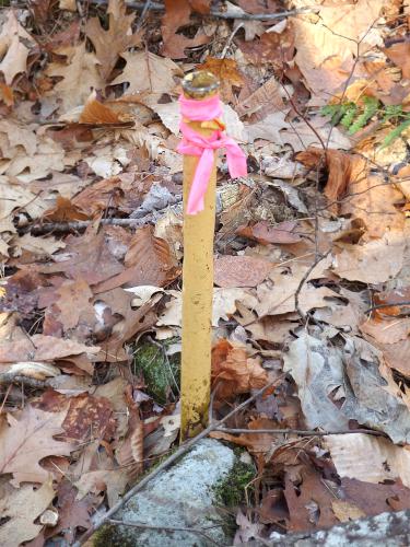 boundary pipe at Carter Forest near Dublin in southern NH