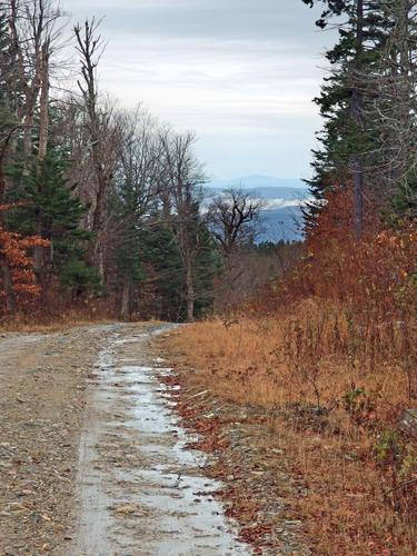 distant view from Catalouchee Mountain in New Hampshire