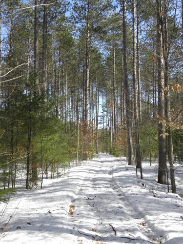 One Mile Road to Catamount Hill in New Hampshire