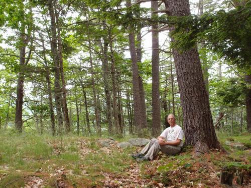 hiker and open woods on Cedar Hill in New Hampshire