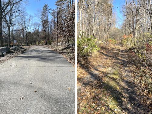 Walker Road in November near Cedar Hill in eastern MA