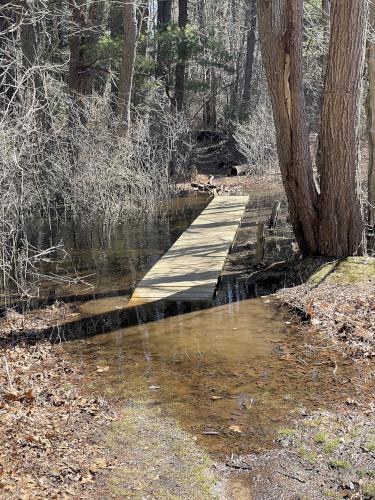 flooded boardwalk in March at Cedar Pond Wildlife Sanctuary in northeast MA