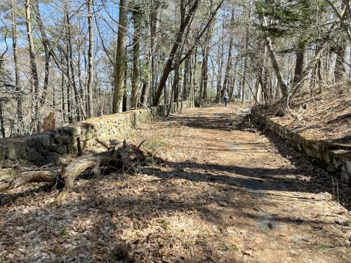 Higginson Way in March at Cedar Pond Wildlife Sanctuary in northeast MA