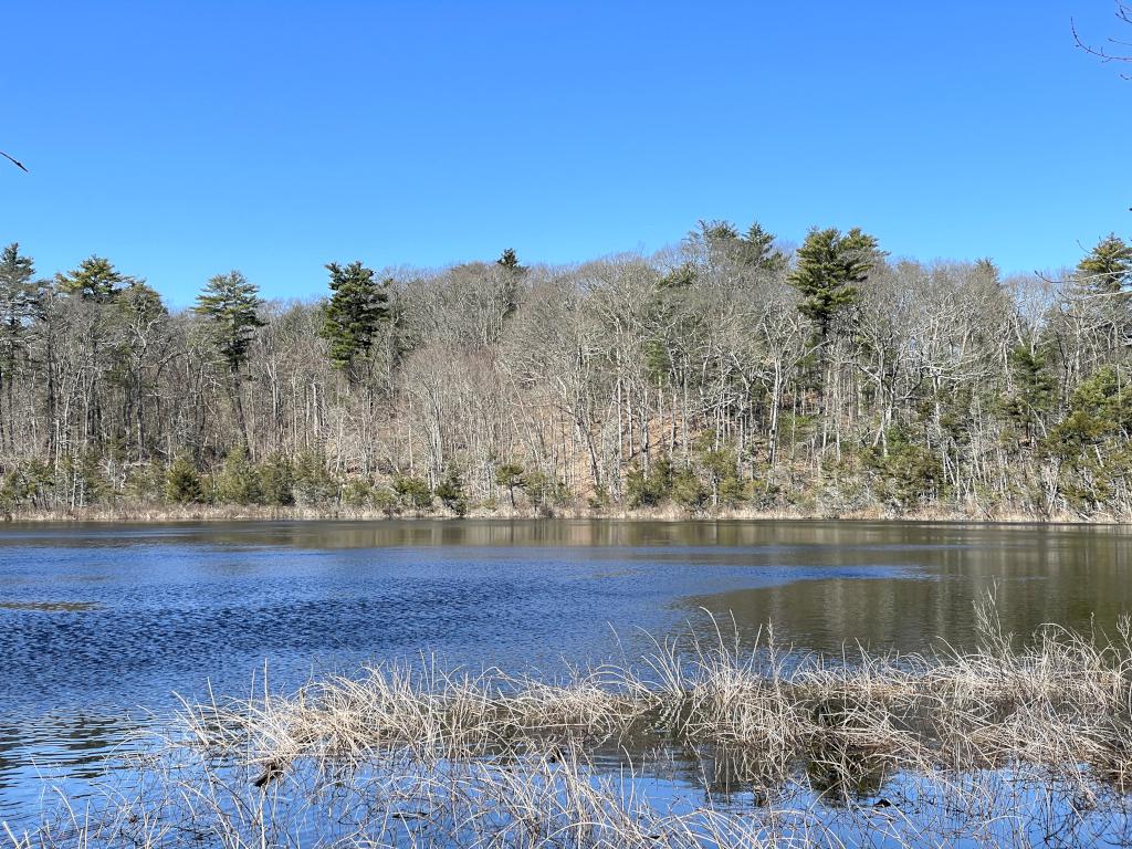 Cedar Pond in March at Cedar Pond Wildlife Sanctuary in northeast MA