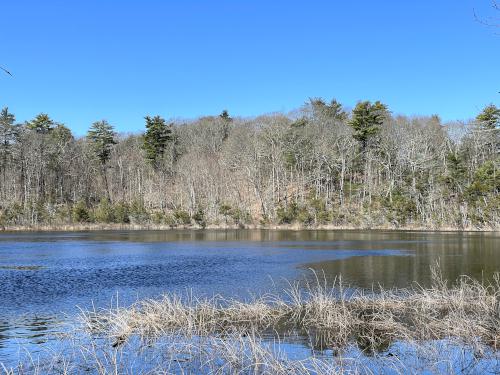 Cedar Pond in March at Cedar Pond Wildlife Sanctuary in northeast MA