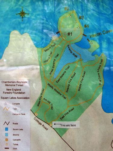 kiosk map at Chamberlain-Reynolds Memorial Forest in New Hampshire