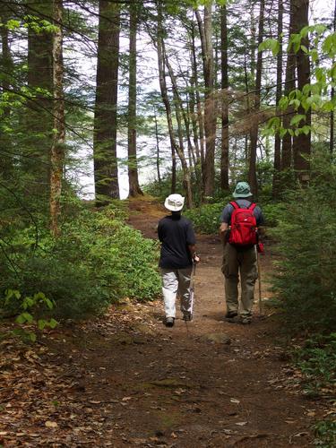 trail at Chamberlain-Reynolds Memorial Forest in New Hampshire