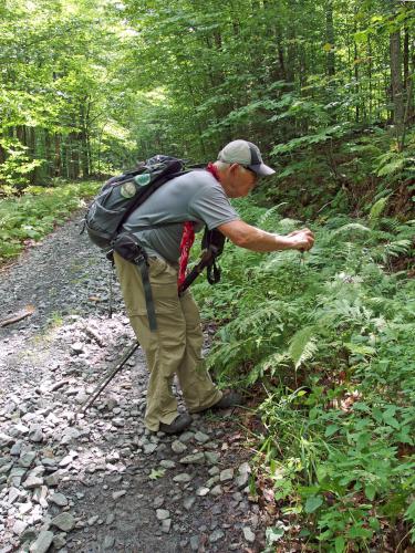 Dick at Chase Pond Peak in southwest New Hampshire