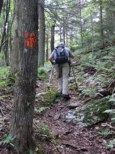 trail at Chase Pond Peak in southwest New Hampshire