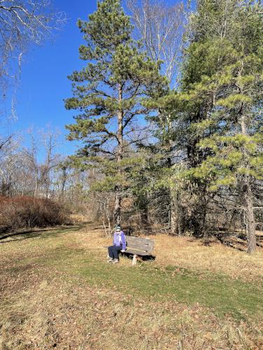 bench in November at Chestnut Hill Farm in eastern Massachusetts