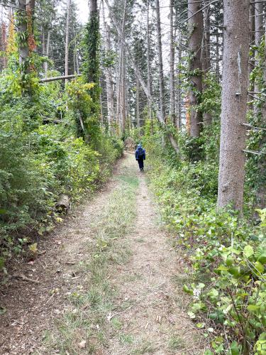 trail at Choate Island in northeast Massachusetts