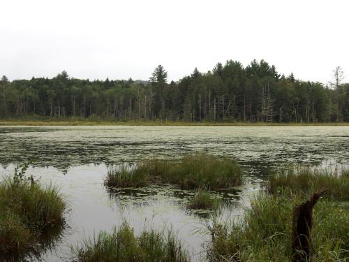 pond at Chute Forest near Hillsboro in southern New Hampshire