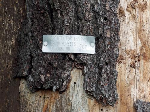 property sign at Chute Forest near Hillsboro in southern New Hampshire