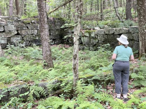 mill foundation in July beside the Cider Mill Pond trail at Westford in northeast MA