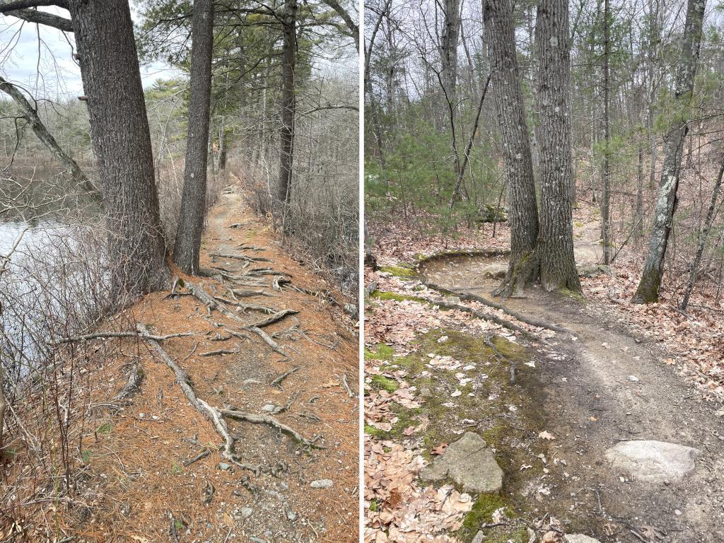 trails in March at Harold B. Clark Town Forest in eastern Massachusetts