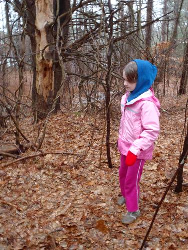 young hiker on the trail around Clark Pond in New Hampshire