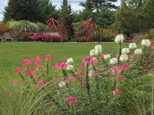 scenery in September at Coastal Maine Botanical Gardens