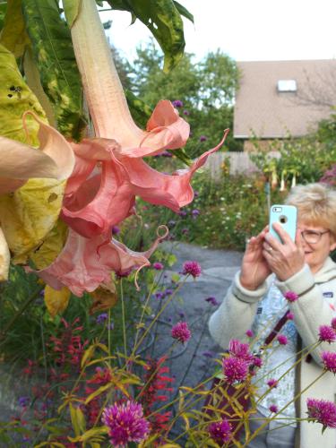 flowers in September at Coastal Maine Botanical Gardens