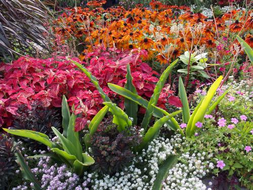 lots of flowers in September at Coastal Maine Botanical Gardens