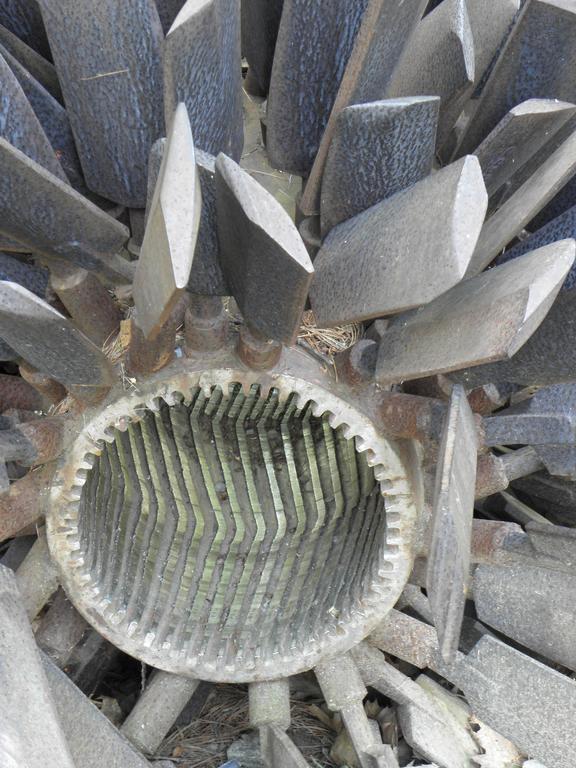 Pinecone art in Coastal Maine Botanical Gardens