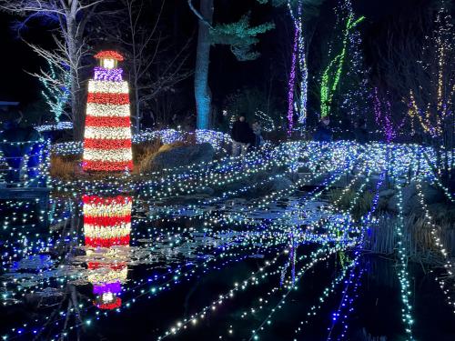 lighted pond in November at Coastal Maine Botanical Gardens in eastern ME