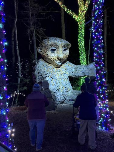 Troll in November at Coastal Maine Botanical Gardens in eastern ME