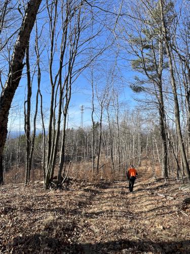 lumber road in December at Cobb Hill in New Hampshire