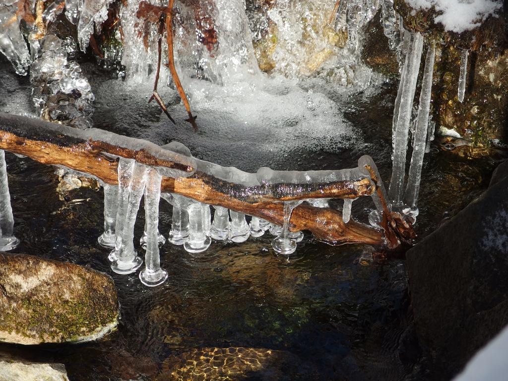 trailside icy construction on Dearth Brook seen on a bushwhack to Cobble Hill in northwestern New Hampshire