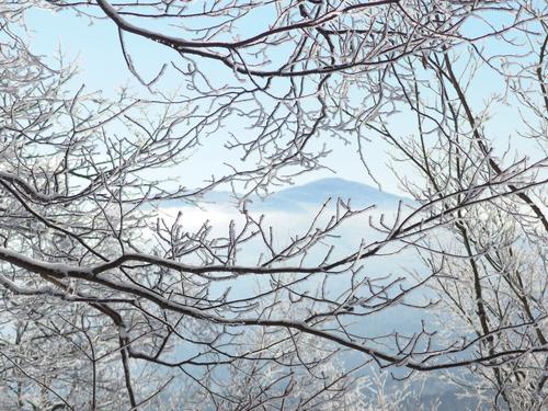 View of Black Mountain through snow-covered branchlets as seen on a bushwhack to Cobble Hill in northwestern New Hampshire